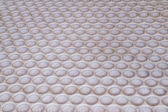 1717594341277181.jpg